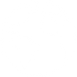 Worldwide Shipping
